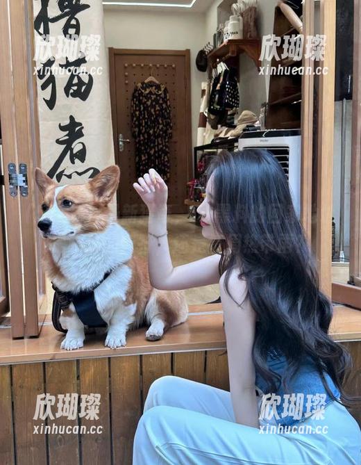 51黑料 最新猎奇,51黑料的回家地址是跳动的音符,还是每周热带雨?