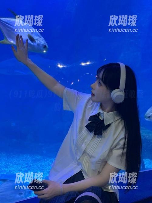 911吃瓜，一个让我疯狂收藏的无聊时光！