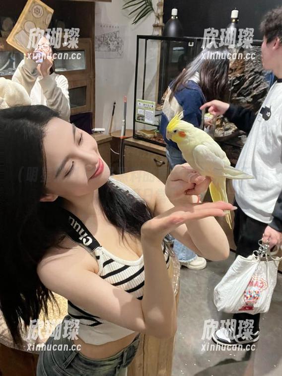 明星黑料 明星黑料的更新简直是每天的“吃瓜日常”
